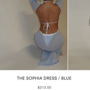 Brand new! 437 Sophia Dress in Blue